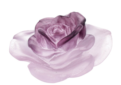 Daum France Rose Passion Pink Crystal Flower Sculpture New In Box 05290-5